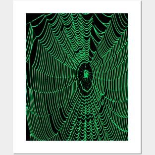 Artistic Halloween Spider Web Cobweb Doodle In Turquoise Posters and Art